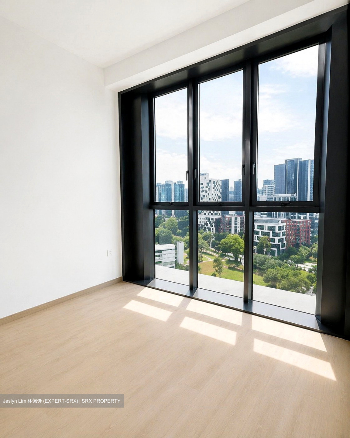 Irwell Hill Residences (D9), Apartment #546414871